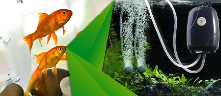 اهمیت استفاده از پمپ هوای آکواریوم