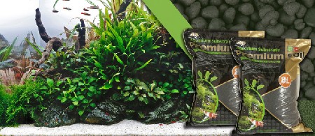 راهنمای خرید بستر آکواریوم و نکات آن