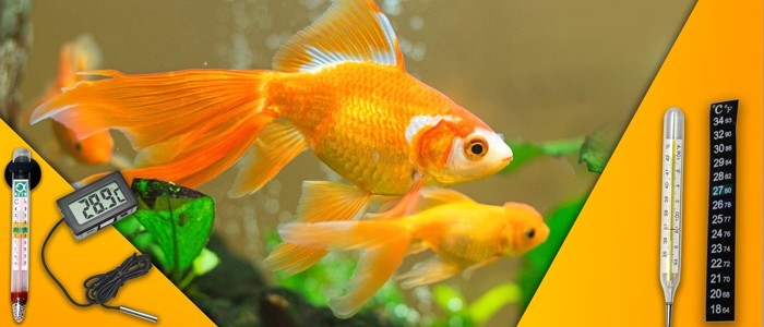 آشنایی با دماسنج جیوه ای و آنالوگ آکواریوم