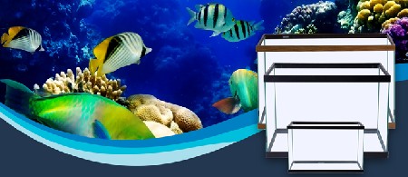 ابعاد استاندارد آکواریوم و ضخامت شیشه جهت ساخت آکواریوم - بخش یازدهم