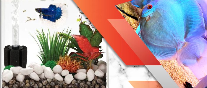 آشنایی با روش بیوفیلتر در آکواریوم