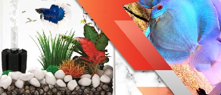 آشنایی با روش بیوفیلتر در آکواریوم