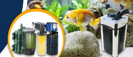 انواع فیلتر آکواریوم و بررسی آنها