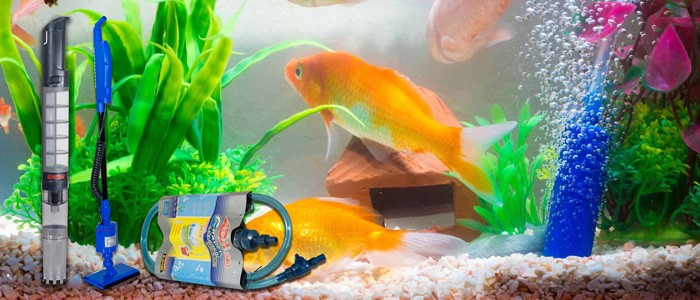 نکات مهم در خرید سیفون مناسب برای آکواریوم
