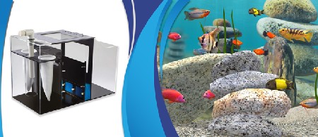 سامپ فیلتر آکواریوم چیست و مزایای آن