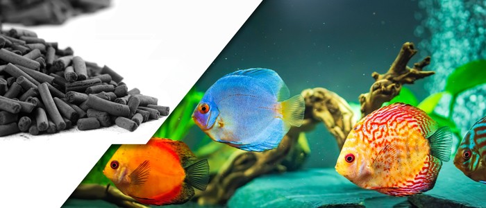 آشنایی با زغال اکتیو و نحوه استفاده از آن در آکواریوم