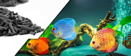 آشنایی با زغال اکتیو و نحوه استفاده از آن در آکواریوم