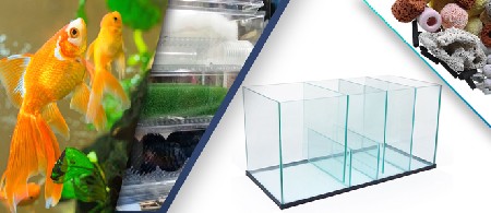 محل های مناسب جهت نصب سامپ آکواریوم
