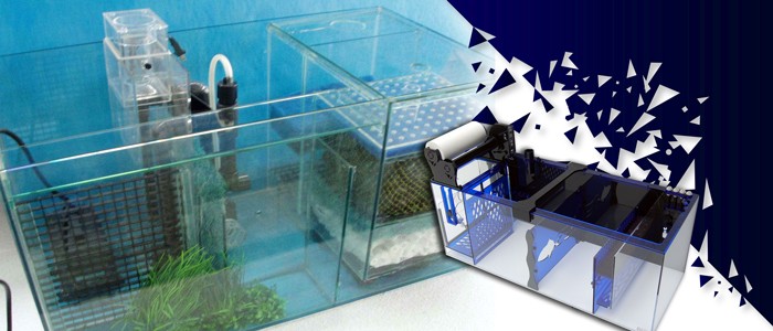 نکات مهم در نصب سامپ آکواریوم