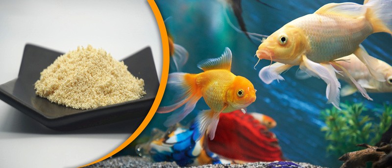 چگونه نیترات را از آکواریوم حذف کنیم
