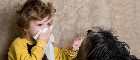 دستگاه تصفیه هوا مخصوص شوره حیوانات خانگی