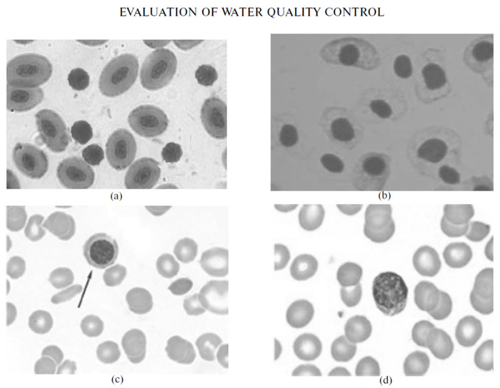 EVALUATION OF WATER QUALITY CONTROL