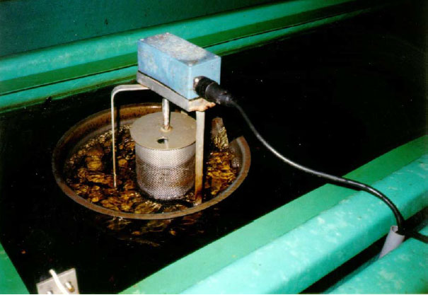 Filtration-and-reuse-of-water-in-%EF%AC%81sh-farming