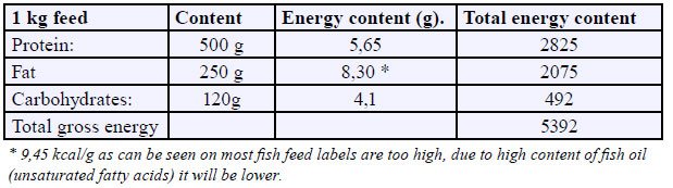 Filtration-and-reuse-of-water-in-%EF%AC%81sh-farming