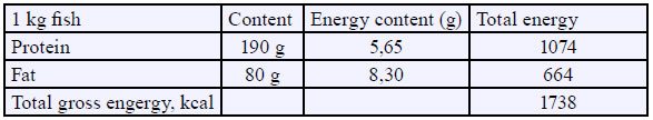 Filtration-and-reuse-of-water-in-%EF%AC%81sh-farming