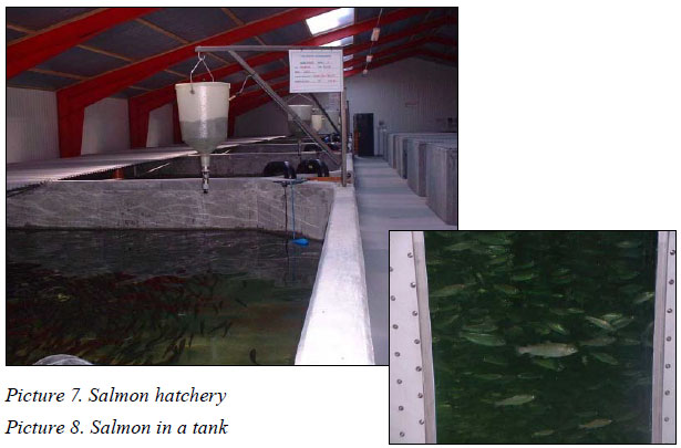 Filtration-and-reuse-of-water-in-%EF%AC%81sh-farming