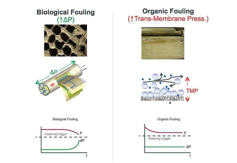 NEXT-GENERATION-FOULING-RESISTANT-RO-MEMBRANES