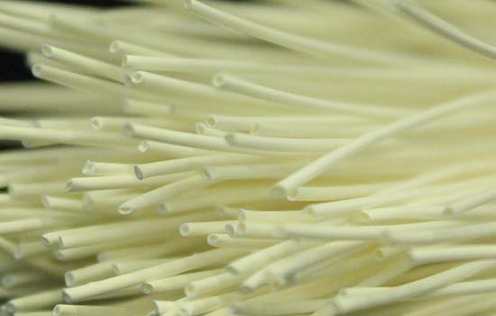 Tubular Membrane