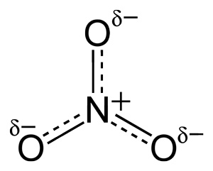Nitrate ion with partial charges 2D