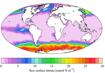 Sea surface nitrate from the World Ocean Atlas سطح نیترات دریاها و اقیانوس ها