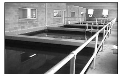 The-History-of-Drinking-Water-Treatment