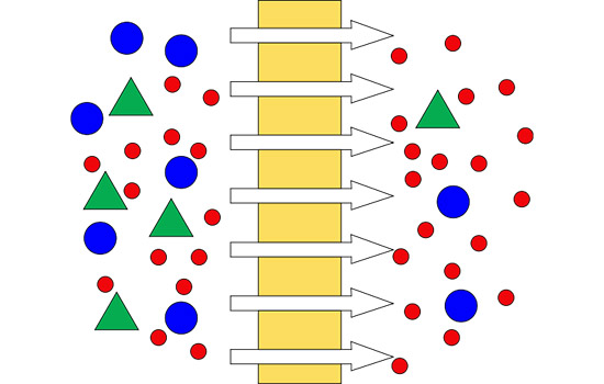 membrane_Dead_end
