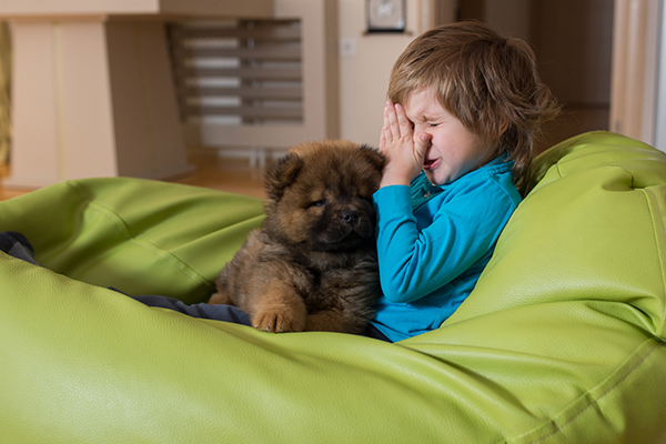 Are Pets Harming Your Health Purify Home Air دستگاه تصفیه هوای حیوانات خانگی