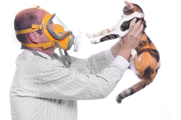 Are Pets Harming Your Health Purify Home Air دستگاه تصفیه هوای حیوانات خانگی