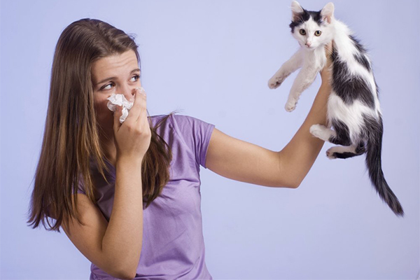 cat allergies درمان آلرژی به گربه با دستگاه تصفیه هوا