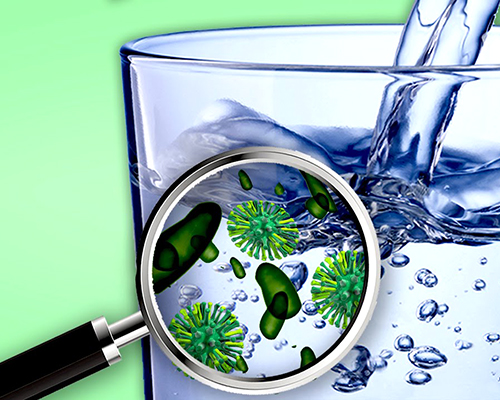 Bacteria in Water باکتری های موجود در آب 