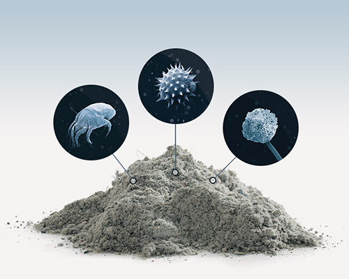 Dust گردوغبار