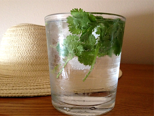 Filtering water with cilantro تصفیه آب با برگ گشنیز