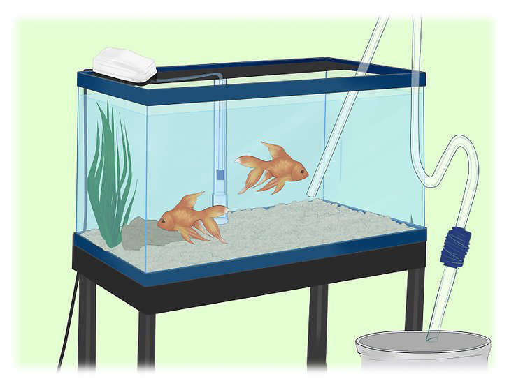 آموزش نصب فیلتر زیر شنی آکواریوم How to Install an Undergravel Filter in Aquarium