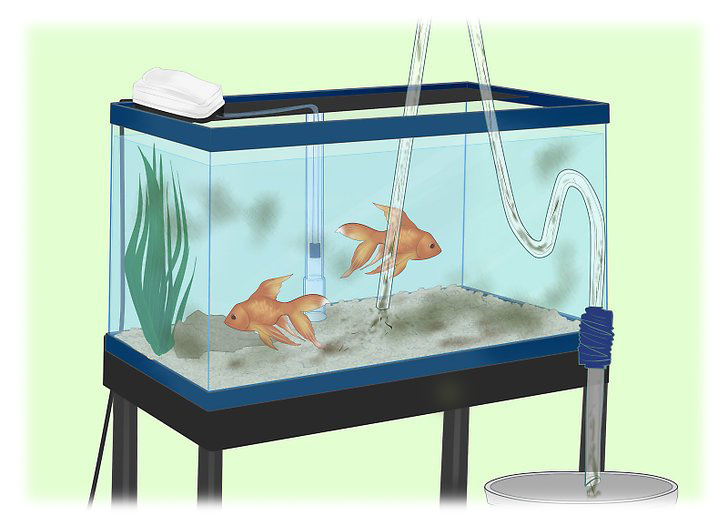 نحوه نصب فیلتر زیر شنی آکواریوم How to Install an Undergravel Filter in Aquarium