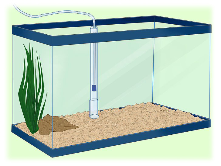 روش نصب فیلتر زیر شنی آکواریوم How to Install an Undergravel Filter in Aquarium
