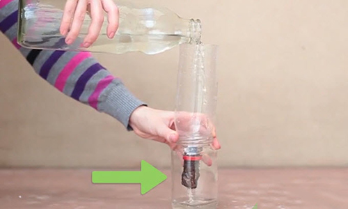  Make a plant xylem filter using a water bottle and a pine branchنحوه ساخت فیلتر تصفیه آب با چوب درخت کج