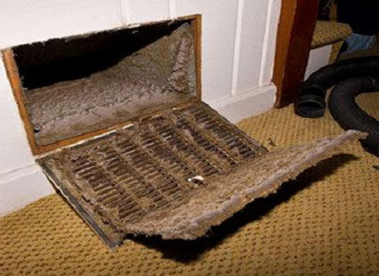 blitz mold pro dirty air duct اآودگی در محیط داخلی خانه