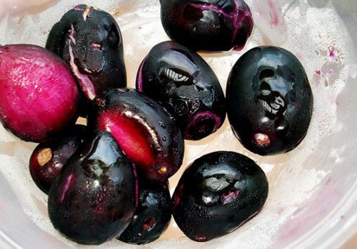 تصفیه آب با دانه آلو جاوا  Java plum seed purification