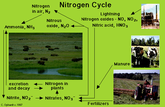 Nitrates and Nitrites in Drinking Water and Surface Waters نیترات و نیتریت در آب آشامیدنی و آب های سطحی