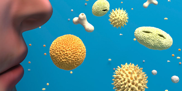 Pollen Allergies and the Air Purifiers That Confound Them