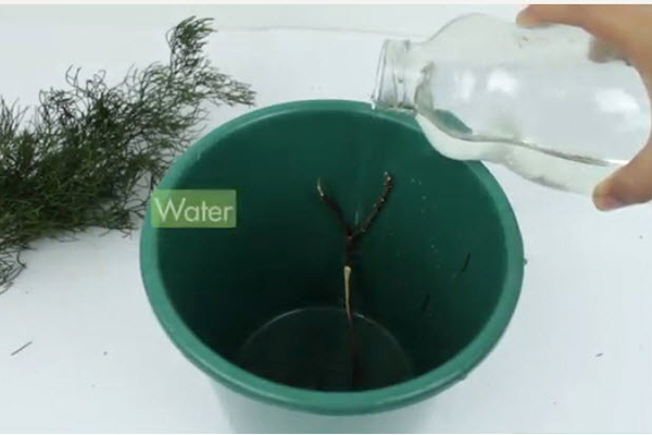 تصفیه آب با مواد شیمیایی Treating Water With Chemicals
