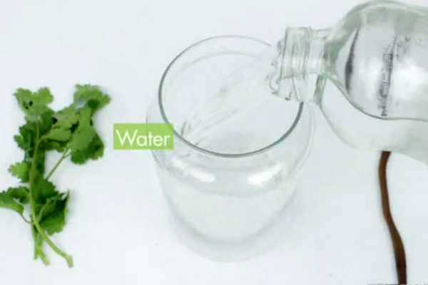 تصفیه آب با مواد شیمیایی Treating Water With Chemicals