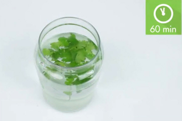 تصفیه آب با مواد شیمیایی Treating Water With Chemicals