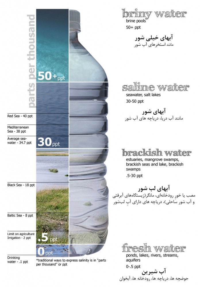 Water salinity diagram