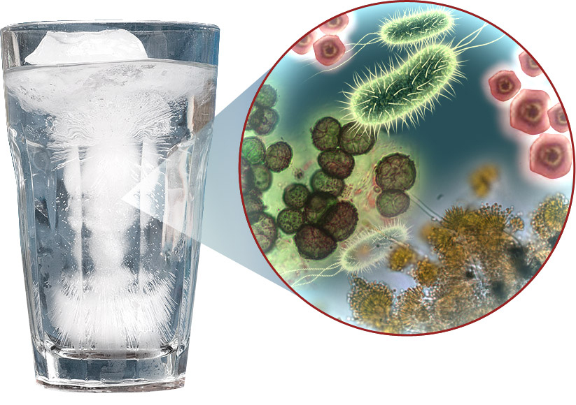 ice water with germs آلودگی آب و یخ به دلیل عدم تعویض به موقع فیلتر یخچال 