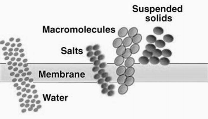 microfiltration diagram