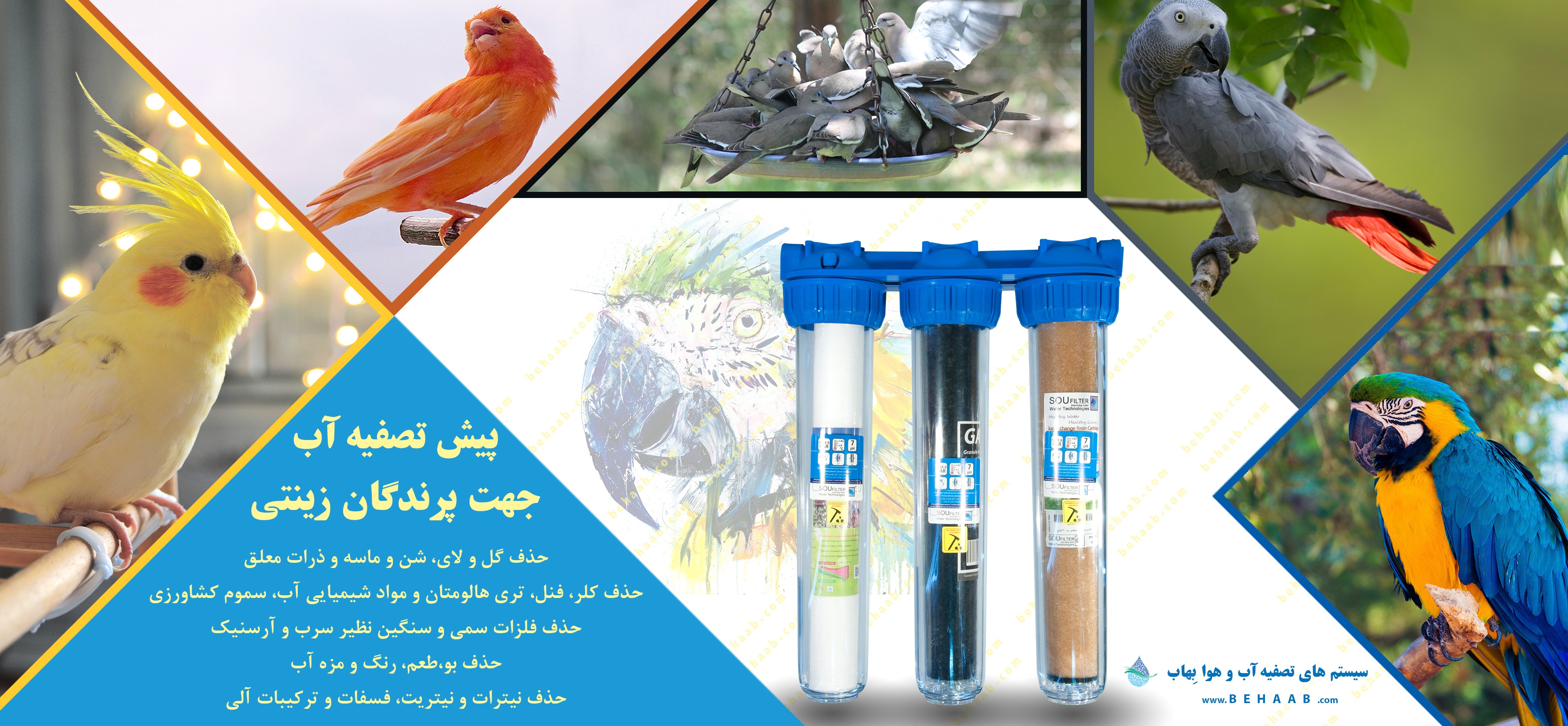 تصفیه آب برای پرندگان زینتی