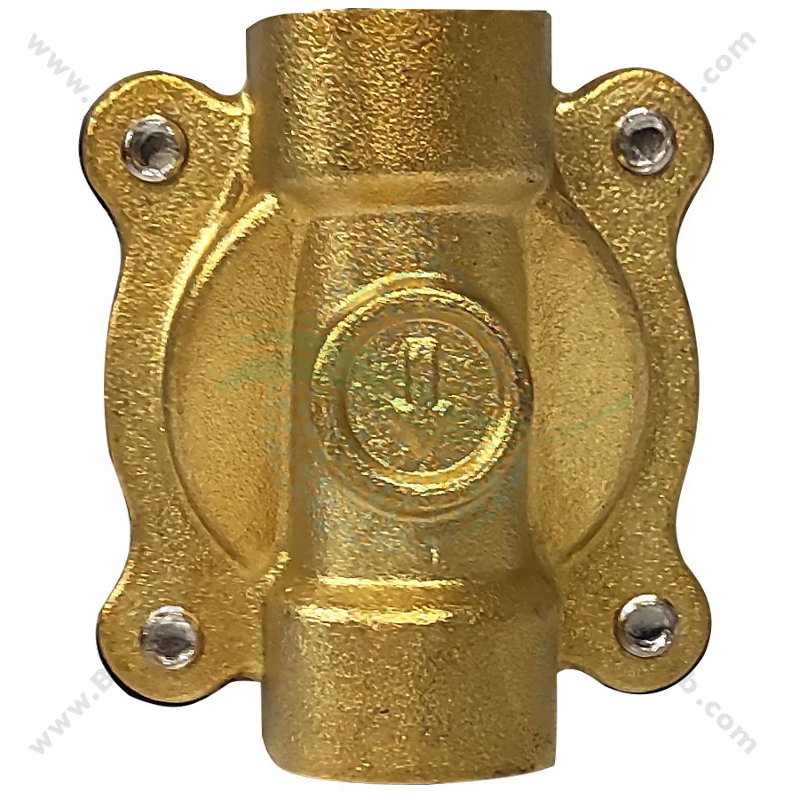 شیر برقی تصفیه آب یونیدی مدل UW-15 سایز 1/2 اینچ - 1/2inch UW-15 Uni-D Type Brass Solenoid Valve 220V AC