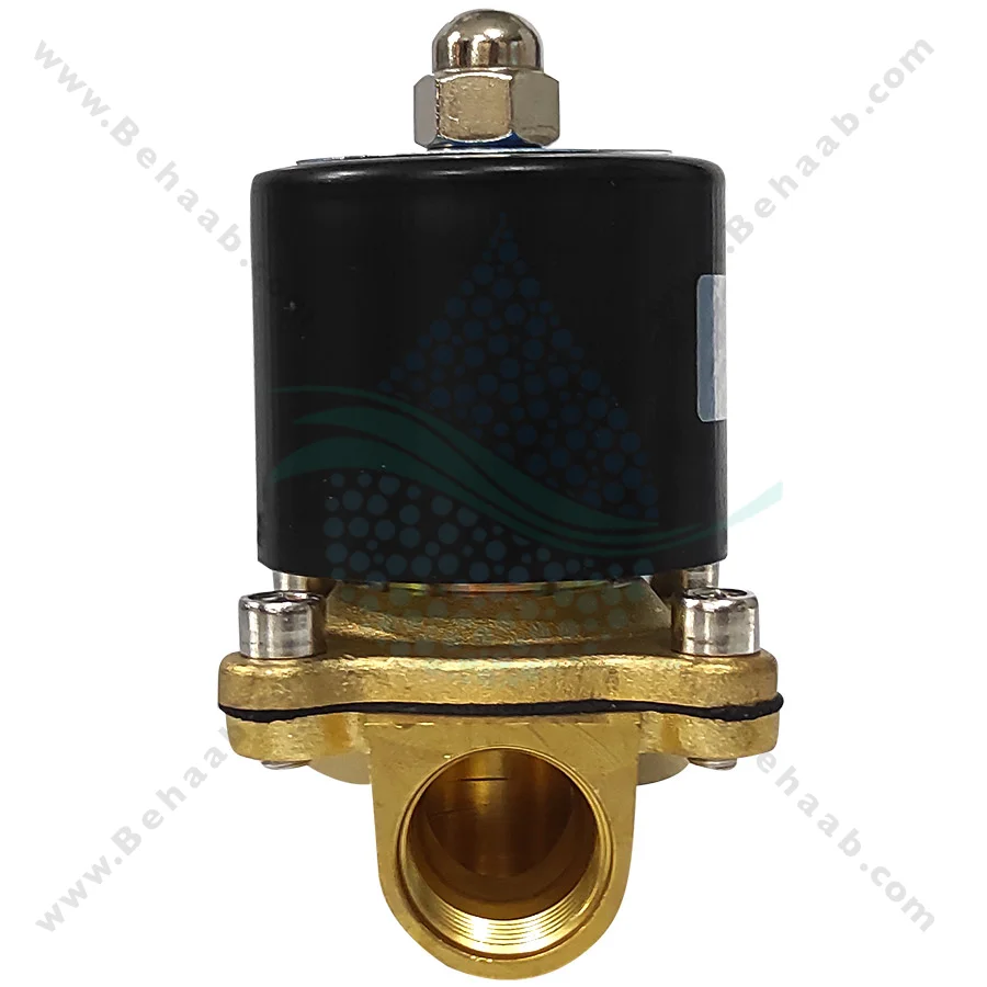 شیر برقی تصفیه آب یونیدی مدل UW-15 سایز 1/2 اینچ - 1/2inch UW-15 Uni-D Type Brass Solenoid Valve 220V AC