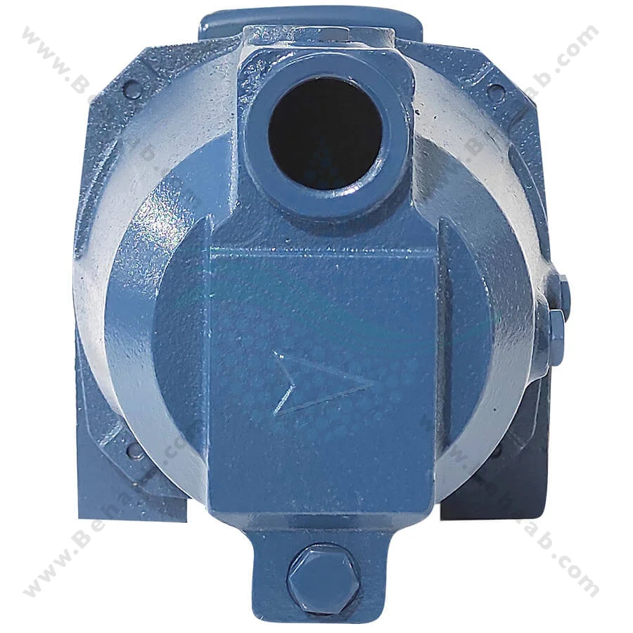 پمپ آب یک اسب ریوال مدل JX100 PPO - Rival 1 HP Water Pump JX100 PPO